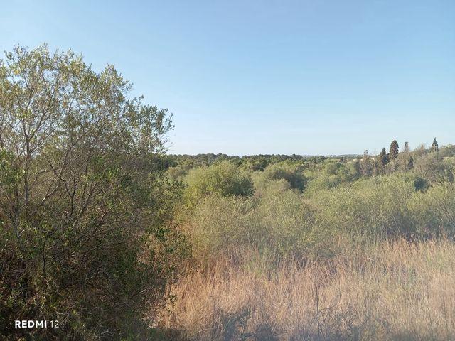 Terreno en venta en Son Servera, Illes Balears