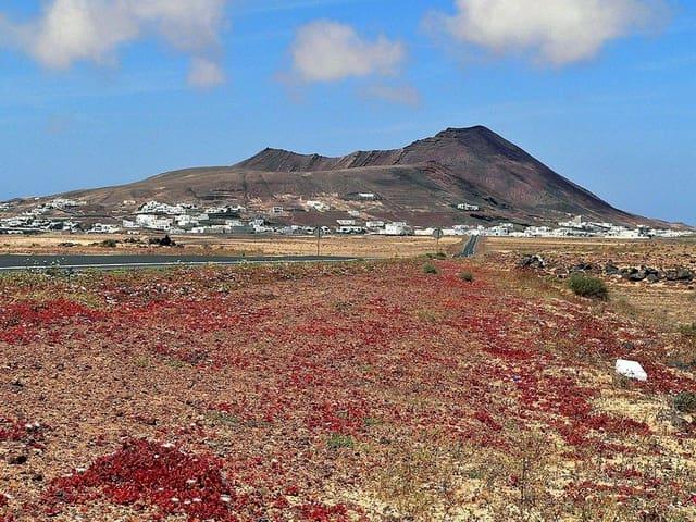 Terreno en venta en Teguise, Canarias