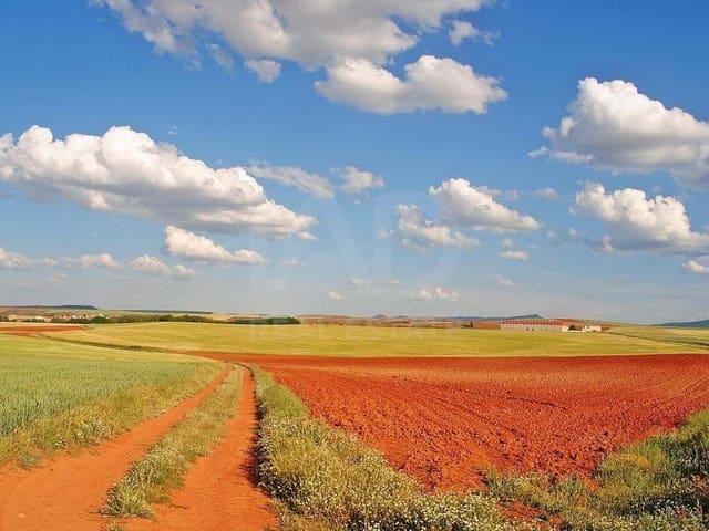 Terreno en venta en Tejado, Castilla y León