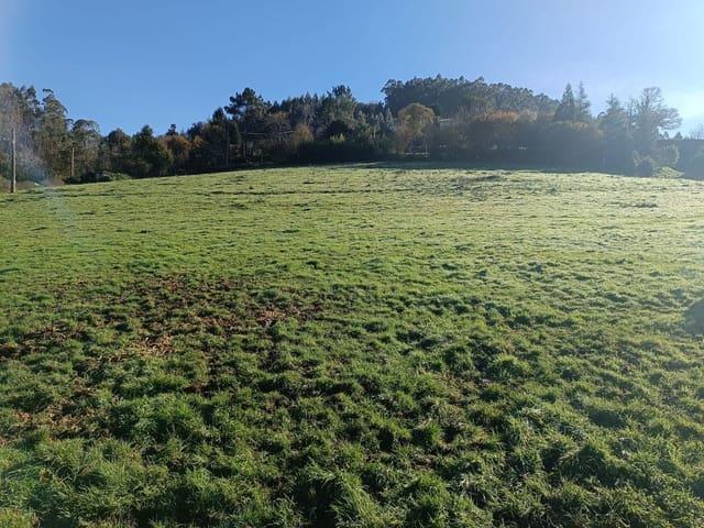 Terreno en venta en Soto Del Barco, La Madalena