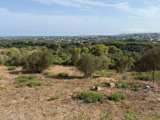 Terreno en venta en Torreguadiaro, Campo de Gibraltar