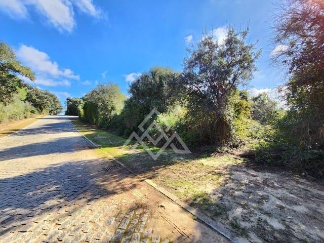 Terreno en venta en Torreguadiaro, Campo de Gibraltar