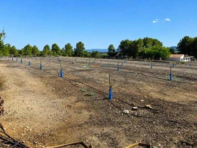 Terreno en venta en Antella, València / Valencia