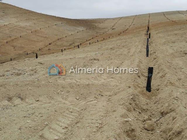 Terreno en venta en Rambla del Taberno, Valle del Almanzora