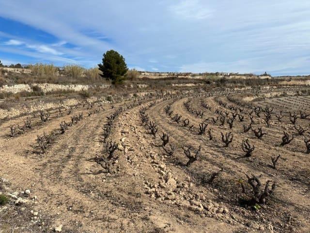 Terreno en venta en la Marina Alta, Valencia