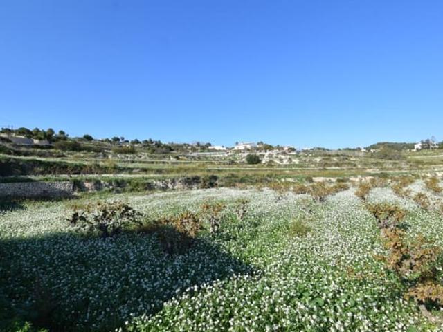 Terreno en venta en la Marina Alta, Valencia