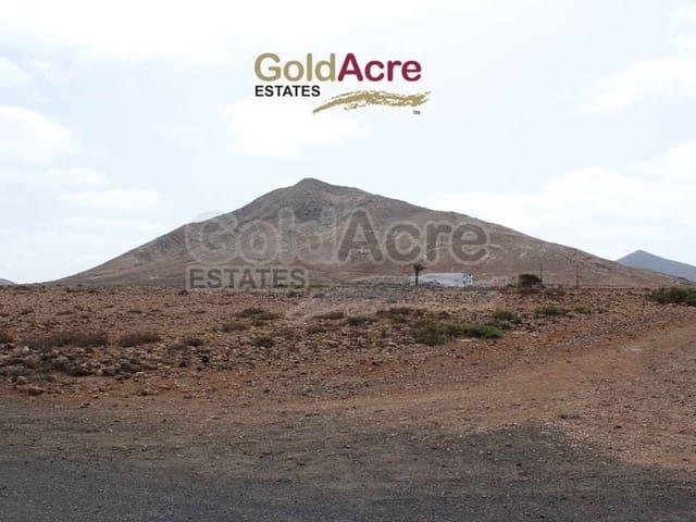 Terreno en venta en Tindaya, Fuerteventura