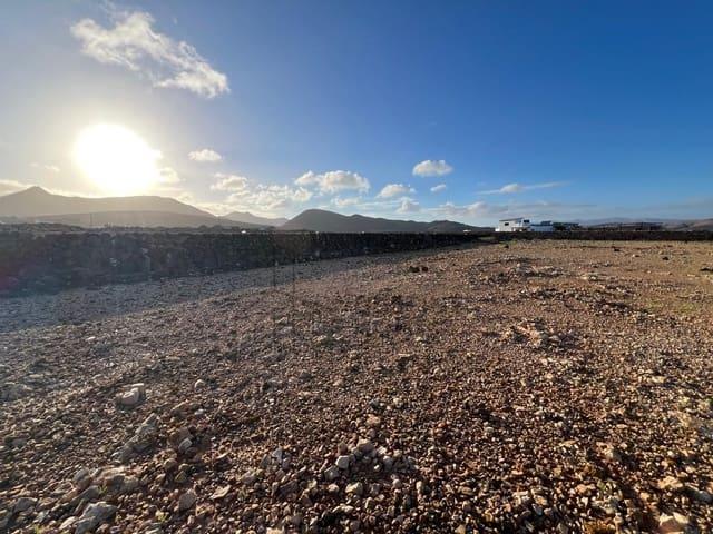 Terreno en venta en Tindaya, Fuerteventura