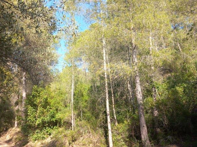 Terreno en venta en Baix Ebre, Catalunya