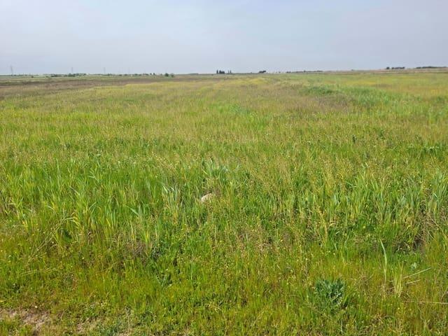 Terreno en venta en Ugena, Castilla-La Mancha