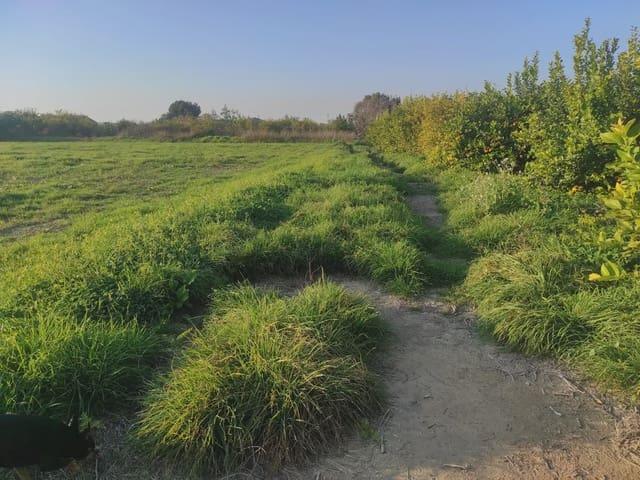 Terreno en venta en Torreagüera, Área Metropolitana de Murcia