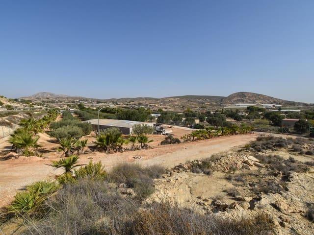 Terreno en venta en Elche, Torrellano