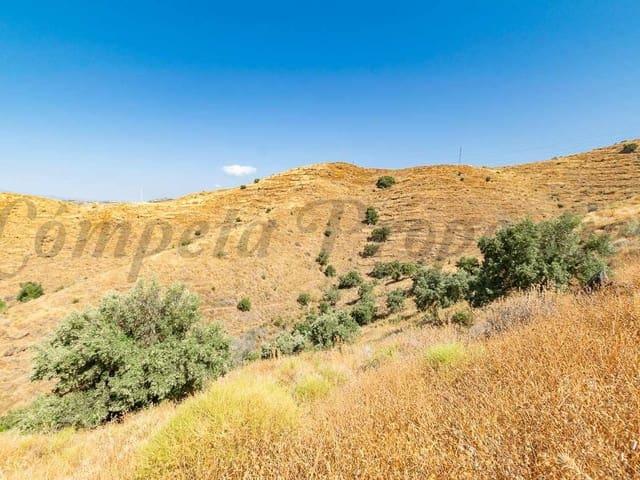 Terreno en venta en Torrox Park, La Axarquía