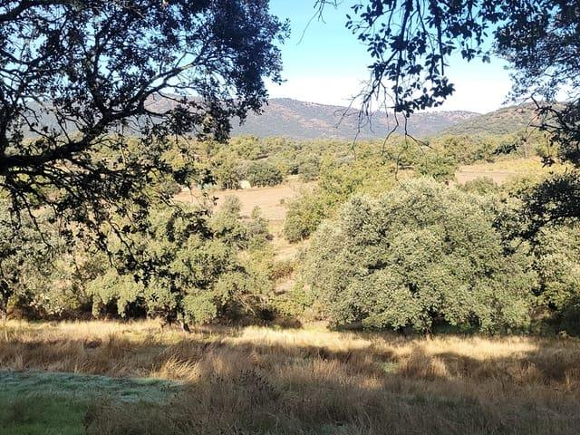 Terreno en venta en Trujillo, Extremadura
