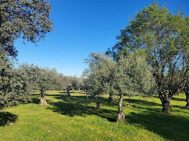 Casa Rural en venta en Trujillo, Extremadura