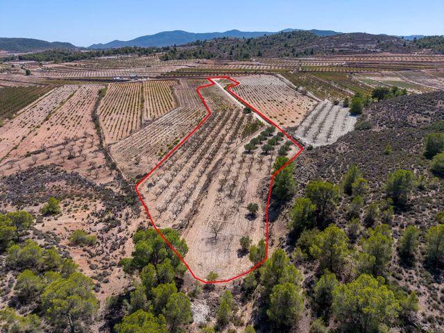 Terreno en venta en Úbeda, el Pinós / Pinoso