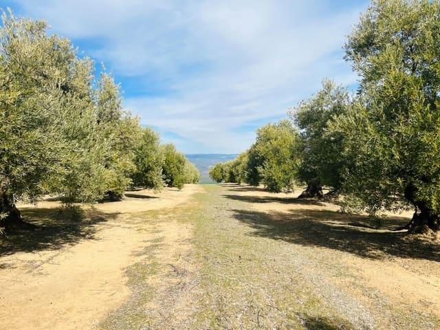 Terreno en venta en Úbeda, Barrio de San Lorenzo