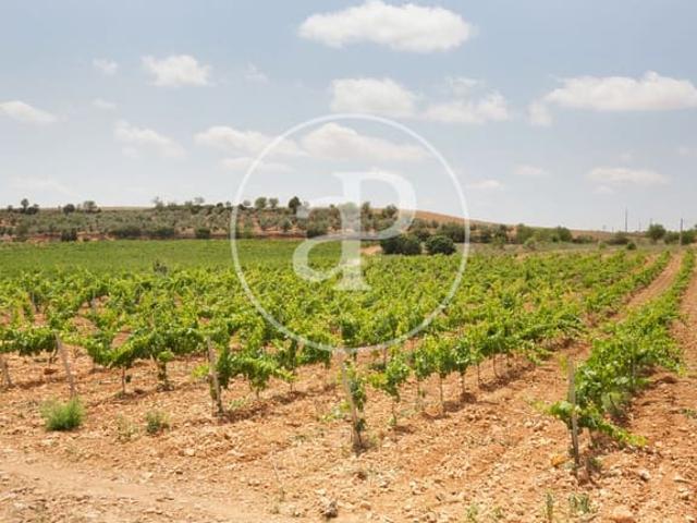Terreno en venta en Utiel Terreno en venta en Utiel