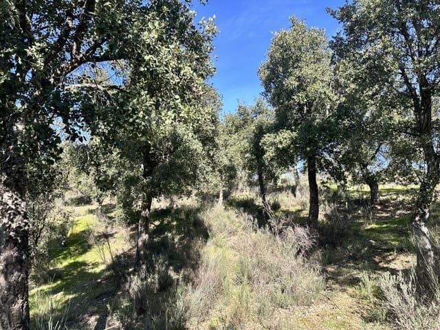 Terreno en venta en Valencia De Alcántara, Extremadura