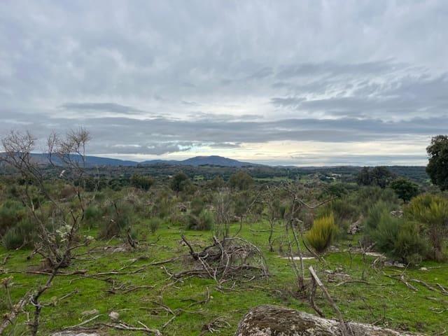 Terreno en venta en Valencia De Alcántara, Extremadura