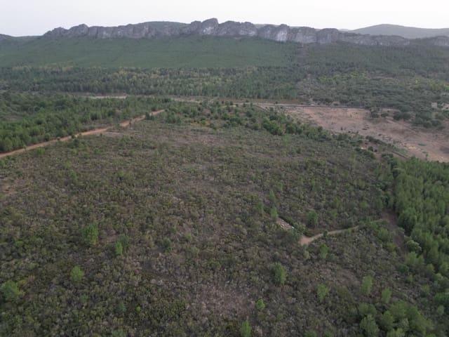 Terreno en venta en Valencia De Alcántara, Extremadura