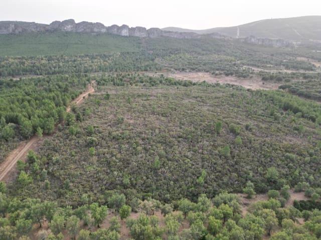 Terreno en venta en Valencia De Alcántara, Extremadura