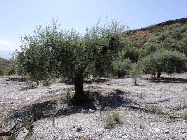 Terreno en venta en Comarca de la Alpujarra Granadina, Andalucía