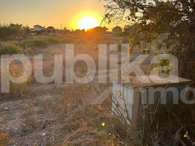 Terreno en venta en la Vallverda Baixa, el Baix Vinalopó