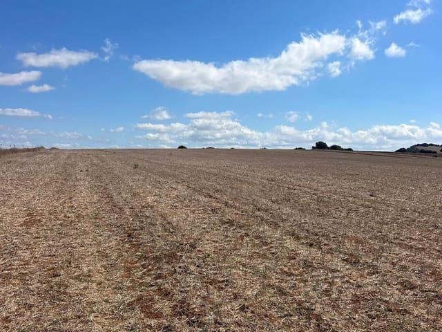 Terreno en venta en Urbanización Alcazaba, La Janda