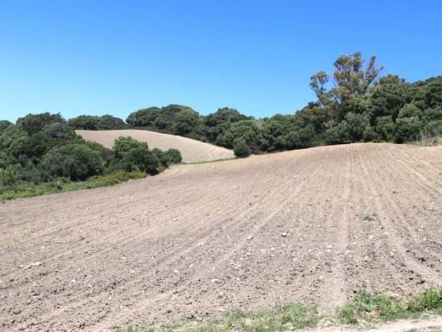 Terreno en venta en Urbanización Alcazaba, La Janda