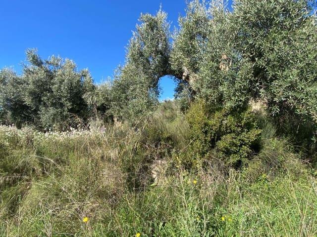 Terreno en venta en Los Vélez, Andalucía