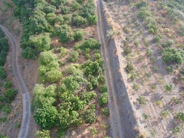 Terreno en venta en Capuchinos, Vélez-Málaga