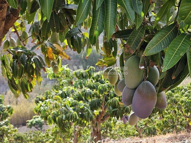 Terreno en venta en Vélez-málaga, Capuchinos