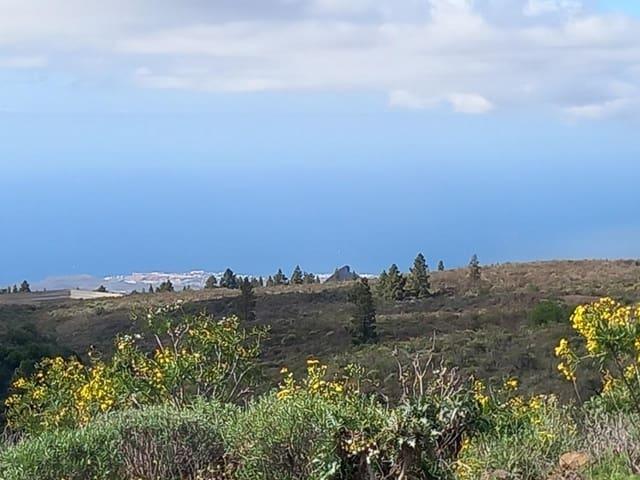 Terreno en venta en Vilaflor de Chasna, Vilaflor