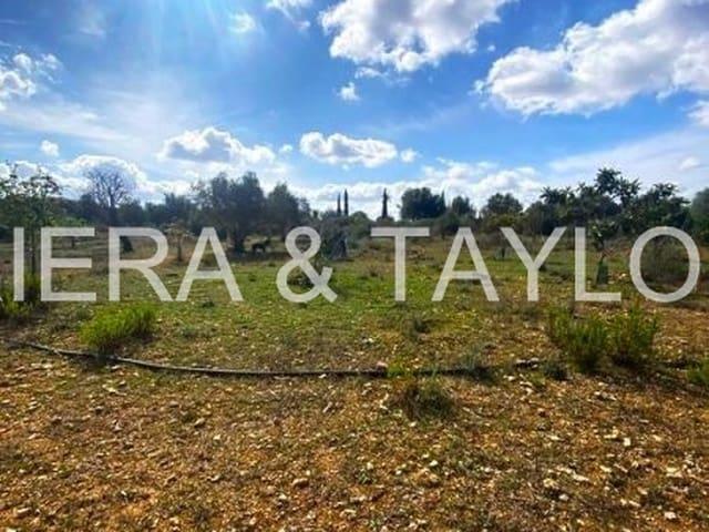Terreno en venta en Pla de Mallorca, Baleares