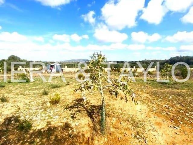 Terreno en venta en Pla de Mallorca, Baleares