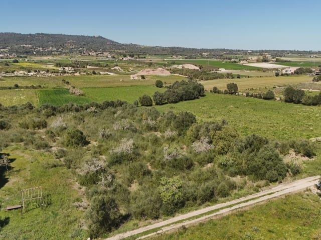 Terreno en venta en Pla de Mallorca, Baleares