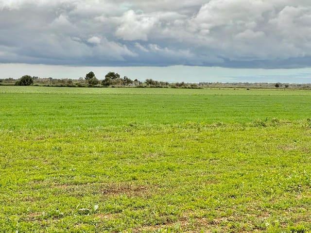 Terreno en venta en Erriberagoiena / Ribera Alta, Navarra