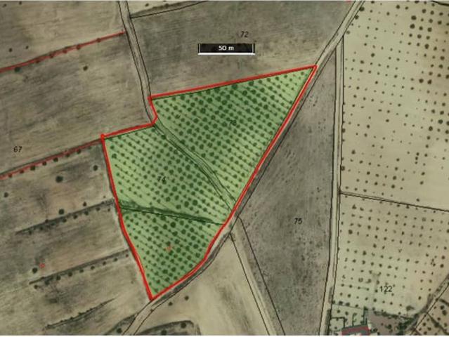 Terreno en venta en Villena