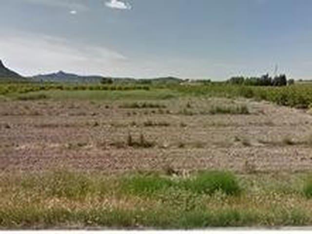 Terreno en venta en la Costera, Valencia