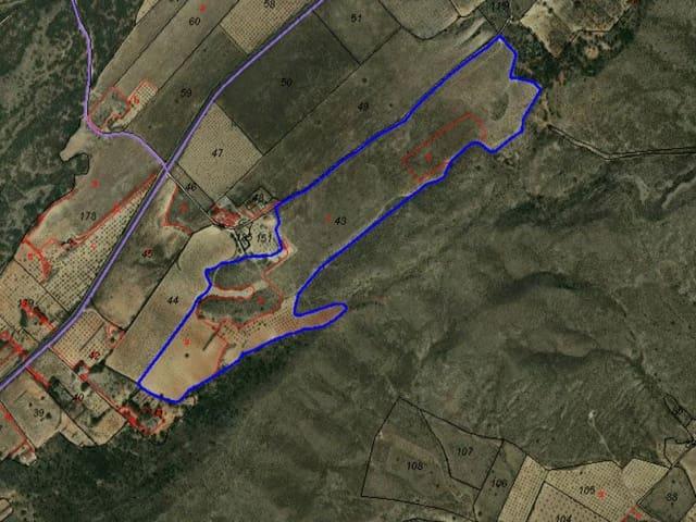 Terreno en venta en Altiplano, Murcia