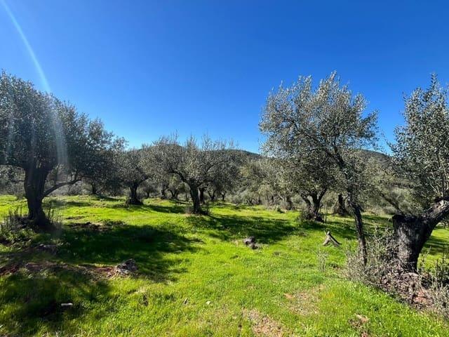 Terreno en venta en Sierra de Huelva, Andalucía