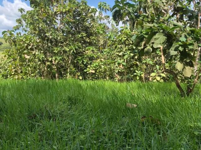 Terreno venta en Los Pozos