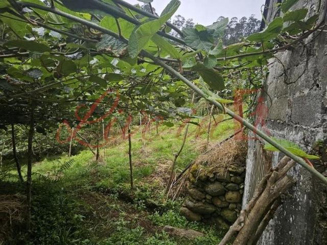 Terreno venda em Açores, Velas