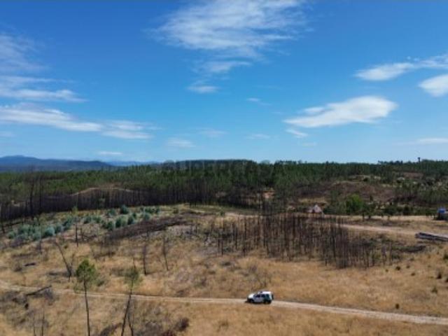 Terreno venda em Castelo Branco