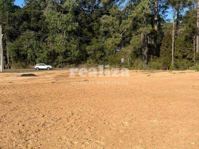 Terreno venda em Canela