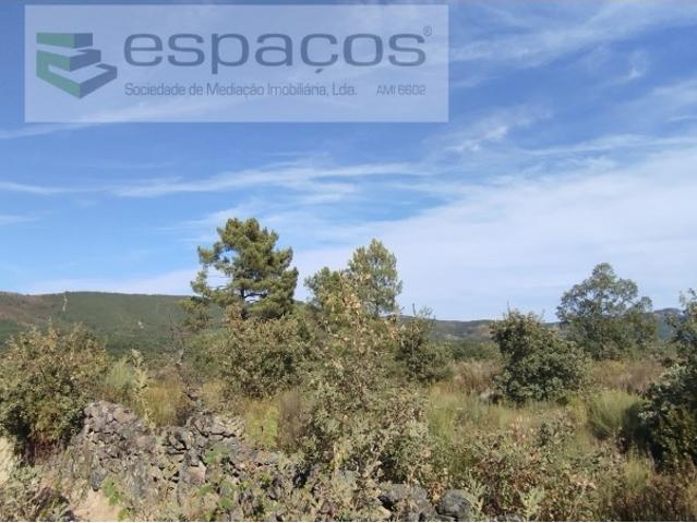 Terreno venda em Castelo Branco, Penamacor