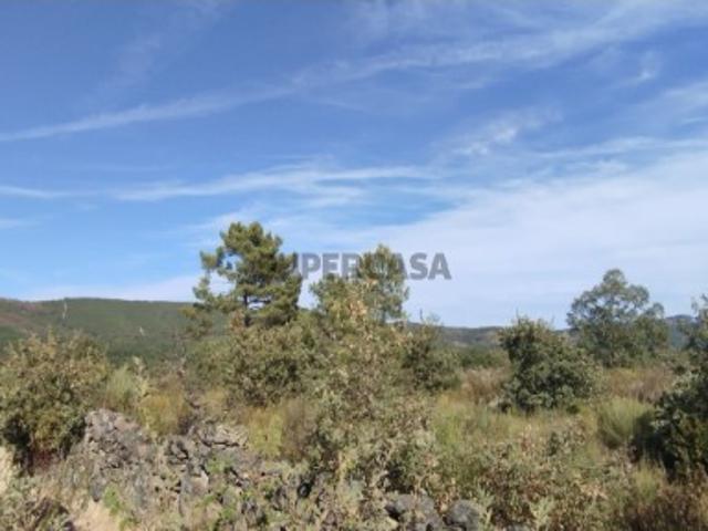 Terreno venda em Castelo Branco, Penamacor