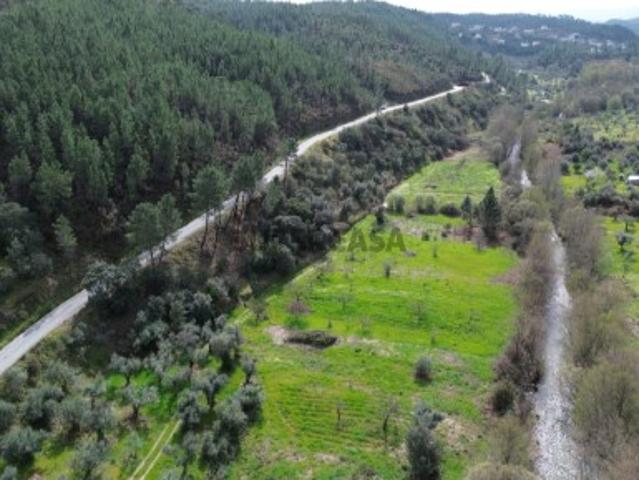 Terreno venda em Castelo Branco