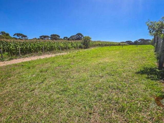 Terreno venda em Região Geográfica Imediata de Curitiba, Região Metropolitana de Curitiba